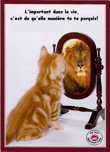 tout a fais ca!